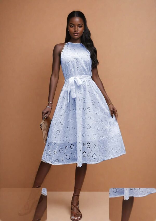 258-C-line-Dress-choice-1 258-C-line-Dress-choice-1