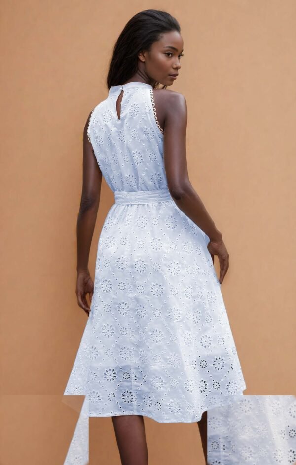 258-C-line-Dress-choice-2 258-C-line-Dress-choice-2
